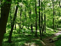 Eladó mezogazdasagi ingatlan, Tarjánon 38 M Ft
