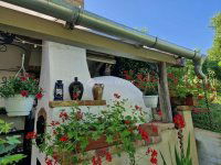 Eladó mezogazdasagi ingatlan, Egerágon 159 M Ft, 5 szobás