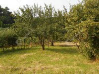 Eladó családi ház, Zalaegerszegen 16.5 M Ft, 1 szobás