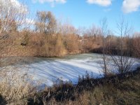 Eladó mezogazdasagi ingatlan, Mendén 115 M Ft