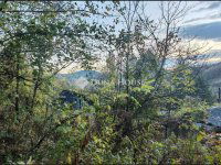 Eladó telek, Sárisápon 14.9 M Ft / költözzbe.hu