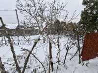 Eladó családi ház, Erdőkertesen 79.9 M Ft, 2 szobás