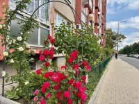 Eladó panellakás, XIII. kerületben 64.9 M Ft, 2 szobás