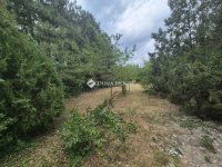 Eladó családi ház, Enyingen 36.9 M Ft, 2 szobás