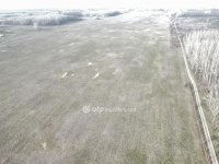 Eladó mezogazdasagi ingatlan, Bácsalmáson 728 M Ft