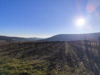 Eladó mezogazdasagi ingatlan, Balatoncsicsón 4.6 M Ft