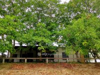 Eladó nyaraló, Faddon 40 M Ft, 1+3 szobás / költözzbe.hu