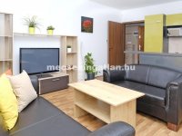 Kiadó téglalakás, albérlet, Pécsett, Anna utcában, 1 szobás