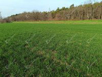 Eladó telek, Sopronban 22 M Ft / költözzbe.hu