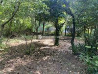 Eladó téglalakás, XII. kerületben 117 M Ft, 3 szobás