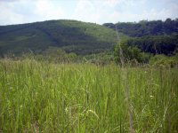 Eladó mezogazdasagi ingatlan