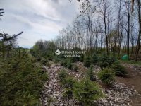 Eladó telek, Jászberényben 9.8 M Ft / költözzbe.hu