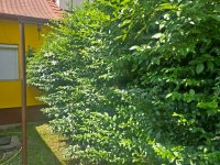 Eladó családi ház, Debrecenben, Ács utcában 64.9 M Ft, 2 szobás