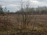 Eladó mezogazdasagi ingatlan, Csemőn 2.5 M Ft