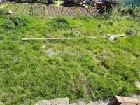 Eladó családi ház, Solymáron 85 M Ft, 3 szobás