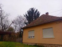 Eladó családi ház, Zsámbékon 52.3 M Ft, 2 szobás