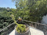 Eladó családi ház, XVIII. kerületben 199.9 M Ft, 9 szobás