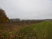 Eladó telek, Pécselyen 88.22 M Ft / költözzbe.hu