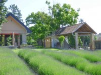 Eladó családi ház, Karádon 134.662 M Ft, 5 szobás