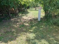 Eladó mezogazdasagi ingatlan, Balatonszabadiban 11.9 M Ft