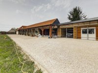 Eladó családi ház, Polgárdin 195 M Ft, 5 szobás