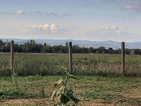 Eladó mezogazdasagi ingatlan