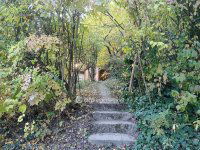 Eladó telek, Solymáron 69.9 M Ft / költözzbe.hu