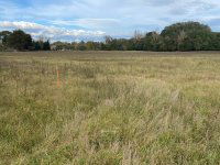 Eladó mezogazdasagi ingatlan