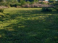 Eladó telek, Zalaszentgróton 8.9 M Ft / költözzbe.hu