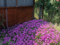 Eladó családi ház, XXII. kerületben 32.5 M Ft, 2 szobás