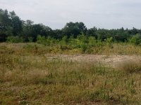 Eladó ipari ingatlan, Inárcson 227 M Ft / költözzbe.hu