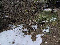 Eladó családi ház, Keszthelyen 74.9 M Ft, 3+1 szobás