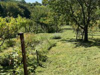 Eladó telek, Csatáron 8.9 M Ft / költözzbe.hu