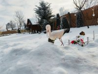 Eladó családi ház, Versegen 50 M Ft, 2 szobás