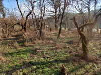 Eladó telek, Pilisszentivánon 3 M Ft / költözzbe.hu