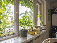 Eladó családi ház, II. kerületben 590 M Ft, 9 szobás