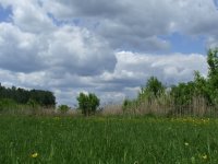 Eladó mezogazdasagi ingatlan, Kelebián 11.58 M Ft