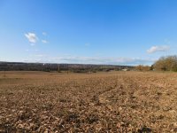 Eladó mezogazdasagi ingatlan, Keszthelyen 2.9 M Ft