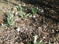 Eladó ipari ingatlan, Ballószögön 18 M Ft / költözzbe.hu