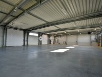Kiadó ipari ingatlan, Alsónémediben 1450 E Ft / hó