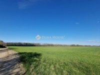 Eladó mezogazdasagi ingatlan, Sülysápon 40.5 M Ft