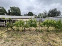 Eladó családi ház, Albertirsán 65 M Ft, 4 szobás