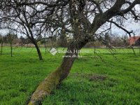 Eladó családi ház, Szigetváron 25.5 M Ft, 3 szobás