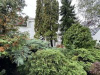 Eladó családi ház, III. kerületben 299.9 M Ft, 5 szobás