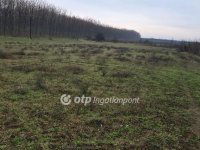 Eladó mezogazdasagi ingatlan, Ebesen 54.9 M Ft