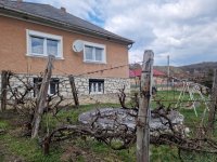 Eladó családi ház, Nagyvisnyón 29 M Ft, 3 szobás