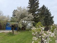 Eladó családi ház, Tornyiszentmiklóson 29.9 M Ft, 3 szobás