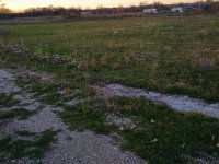 Eladó ipari ingatlan