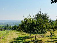 Eladó telek, Alsópáhokon 10.5 M Ft / költözzbe.hu