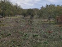 Eladó telek, Dánszentmiklóson 9.5 M Ft / költözzbe.hu